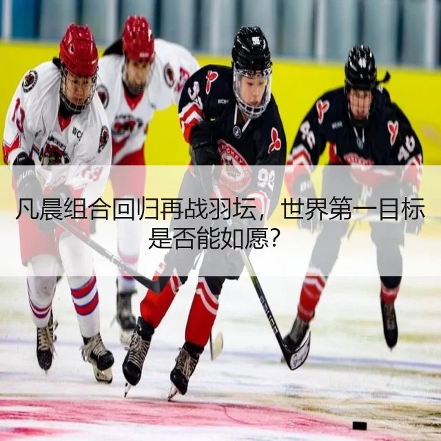 凡晨组合回归再战羽坛，世界第一目标是否能如愿？