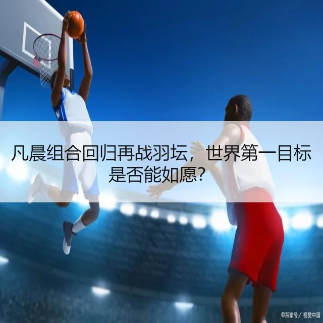 凡晨组合回归再战羽坛，世界第一目标是否能如愿？